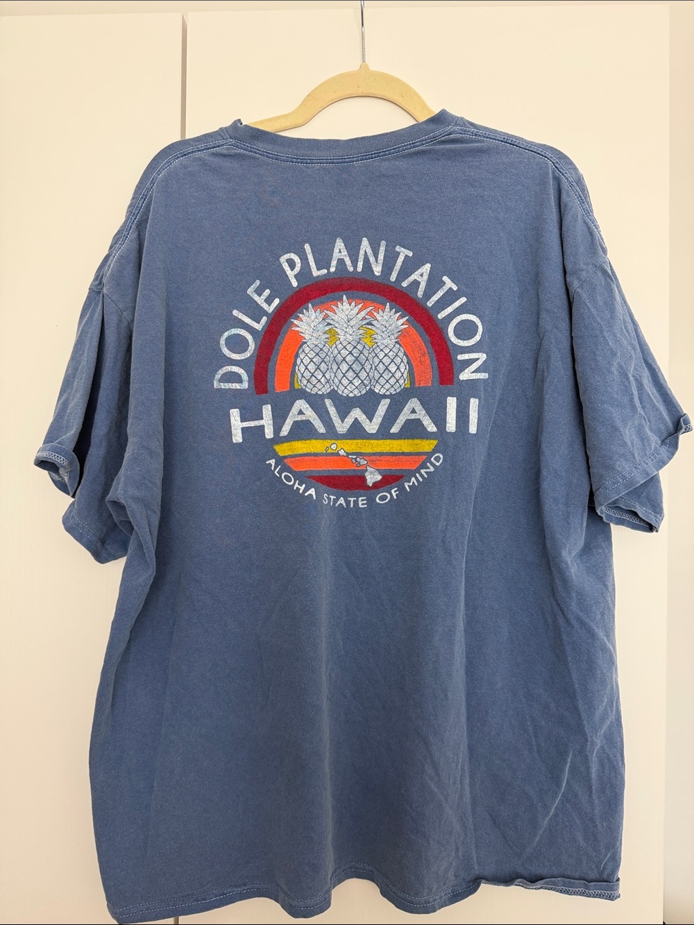 Blue 84 Dole Plantation Hawaii Pineapple Rainbow Graphic Tee Unisex XXL